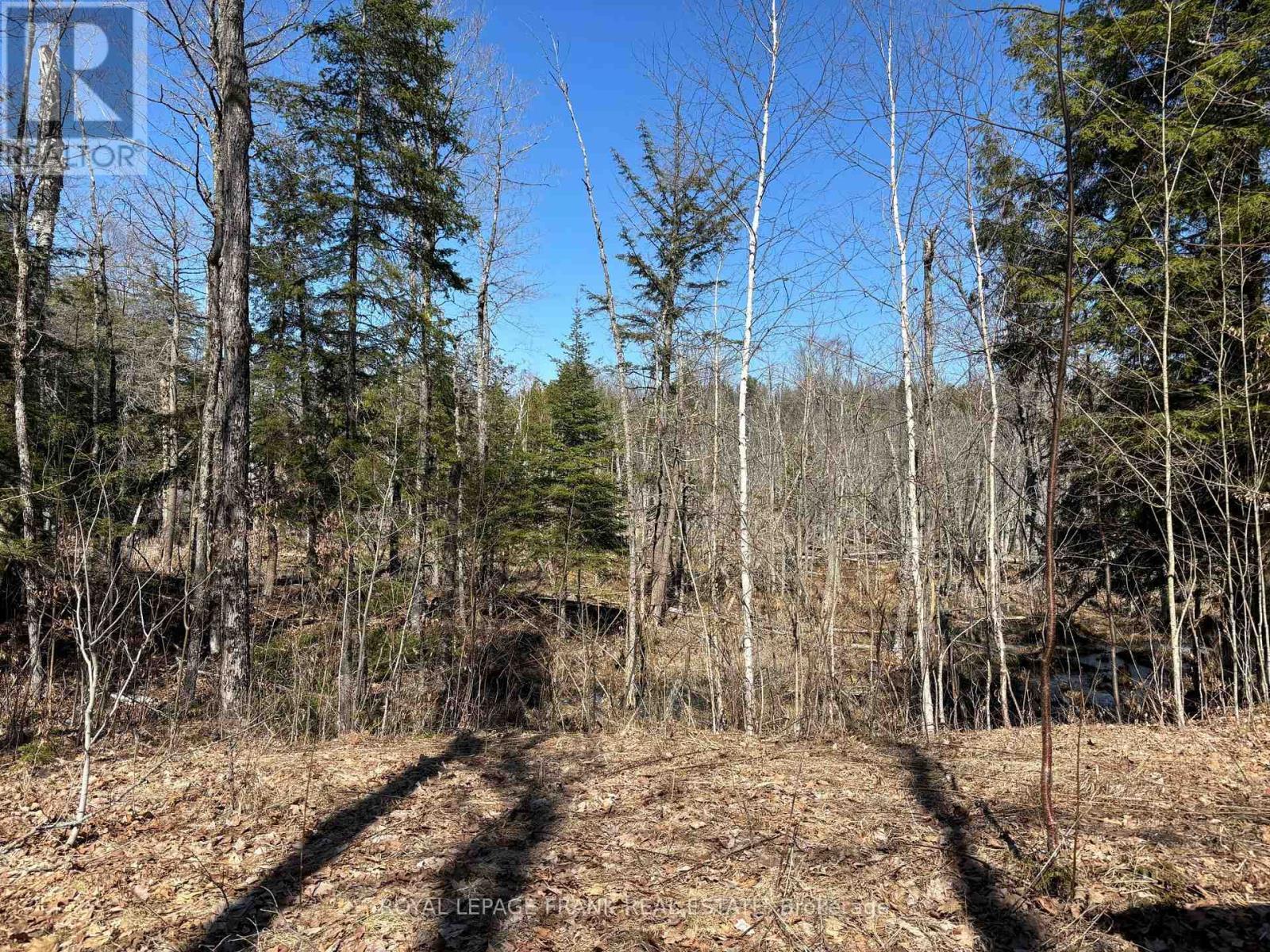 












185 JULIAN LAKE ROAD

,
North Kawartha,







Ontario
K0L3E0

