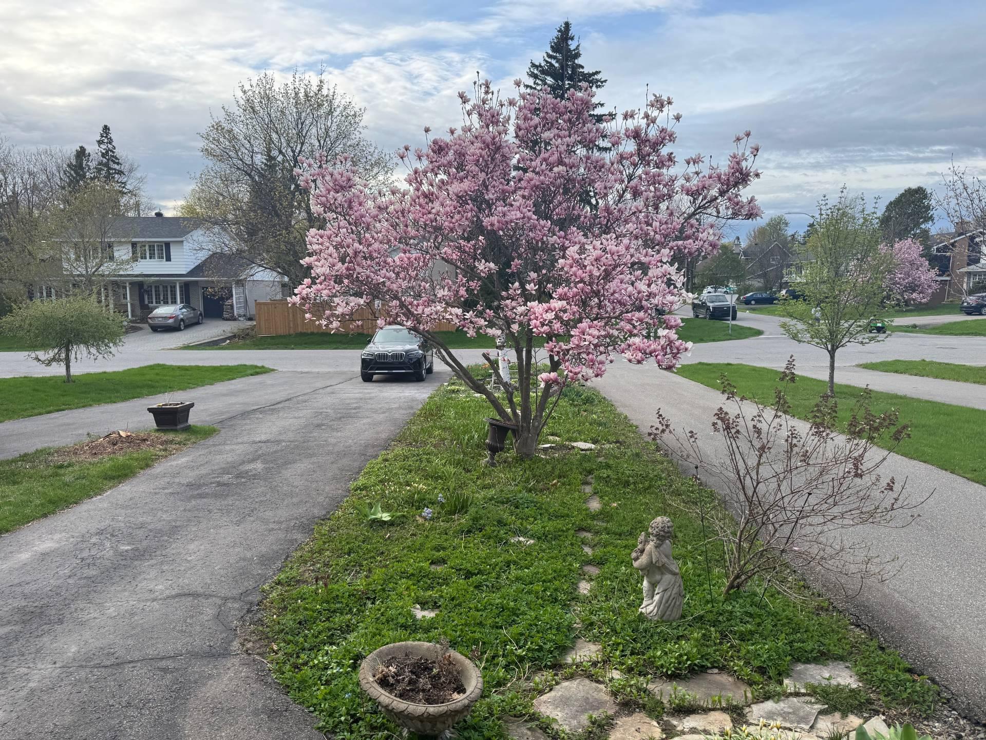 









194


Place Alton

,
Beaconsfield,




QC
H9W1Y7

