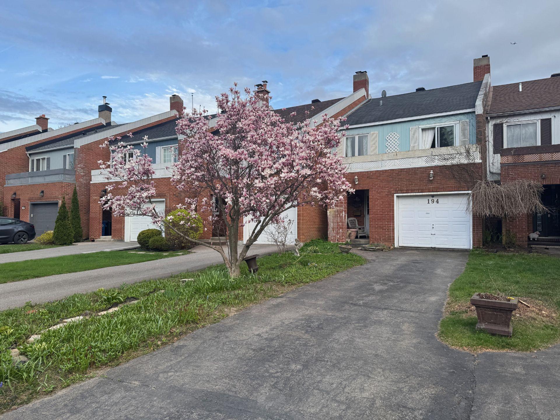 









194


Place Alton

,
Beaconsfield,




QC
H9W1Y7


