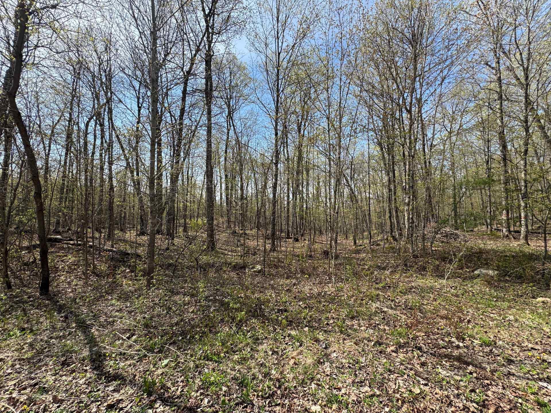 












Ch. des Labradors

,
Harrington,







QC
J8G0E2

