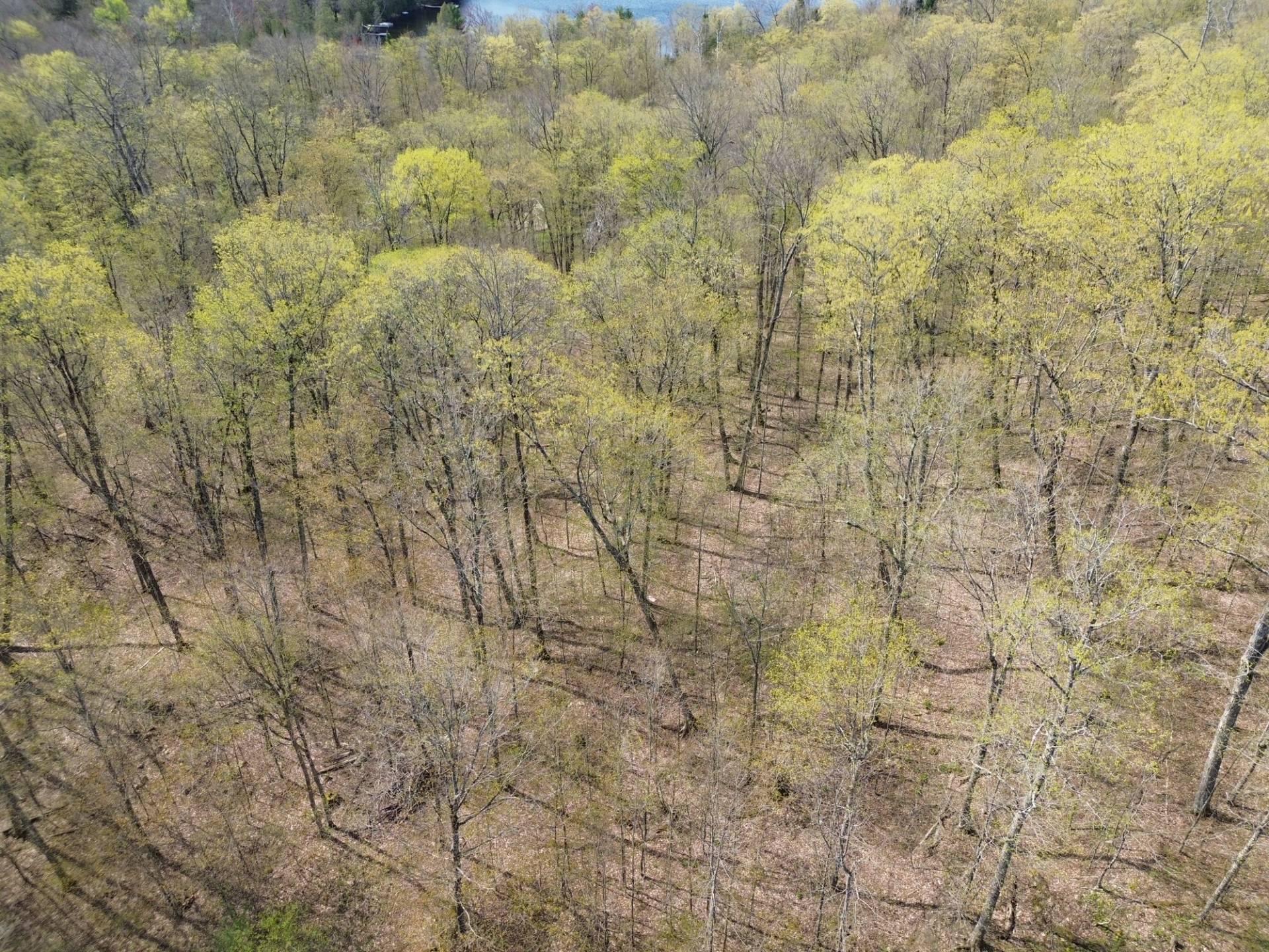 












Ch. des Labradors

,
Harrington,







QC
J8G0E2

