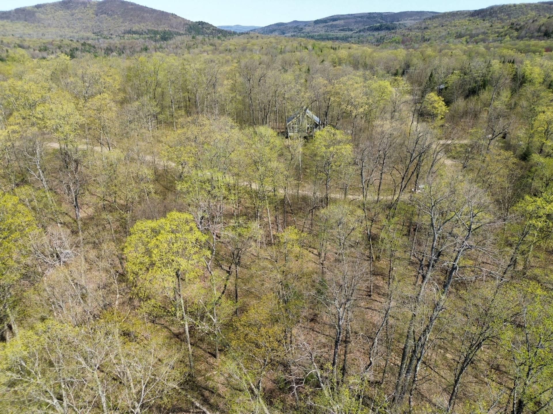 












Ch. des Labradors

,
Harrington,







QC
J8G0E2


