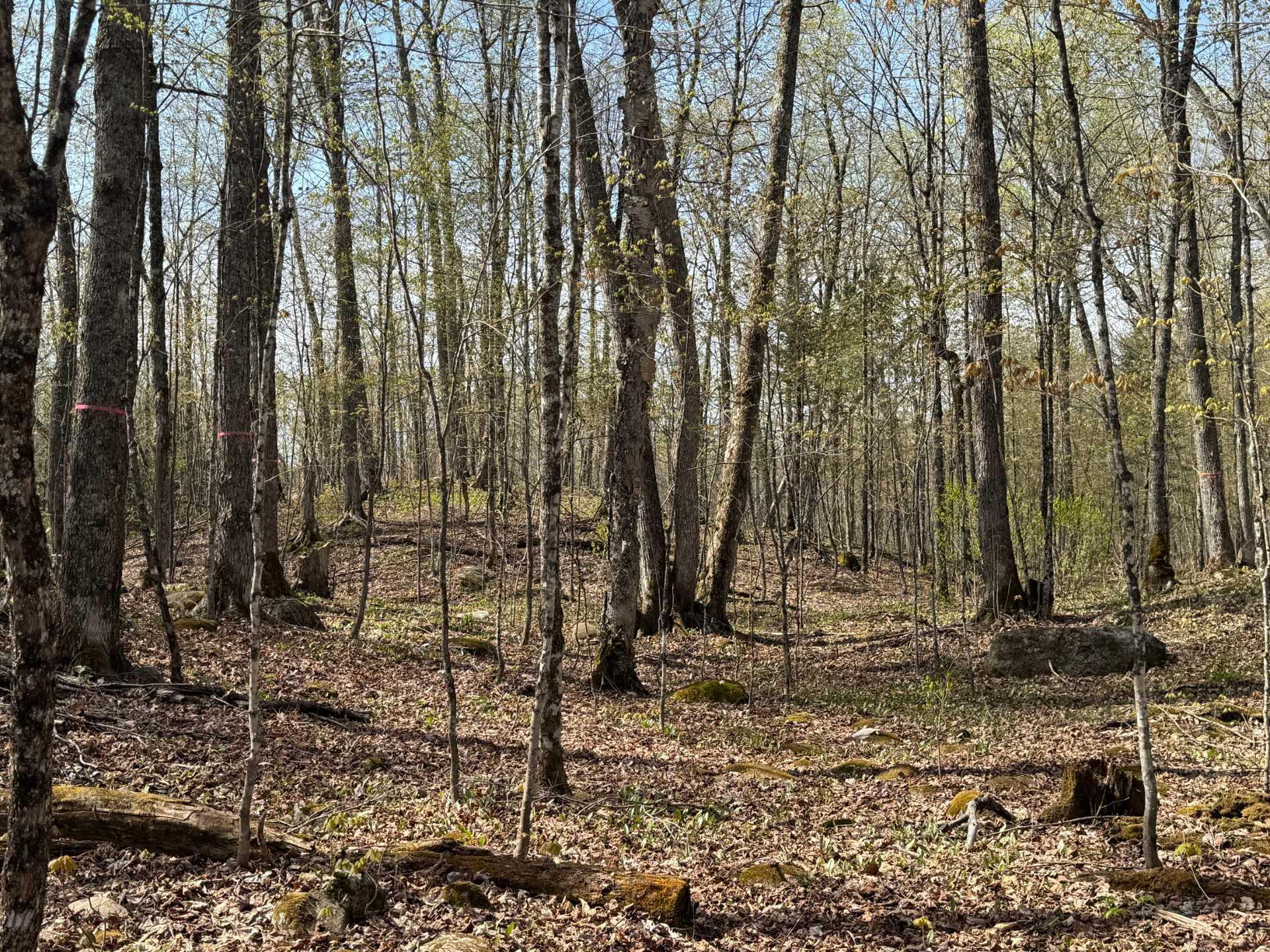 












Ch. des Labradors

,
Harrington,







QC
J8G0E2

