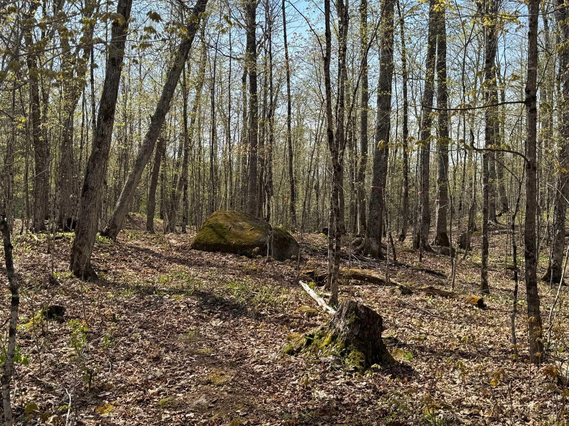 












Ch. des Labradors

,
Harrington,







QC
J8G0E2

