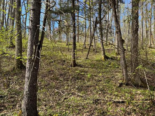 Land/Lot
