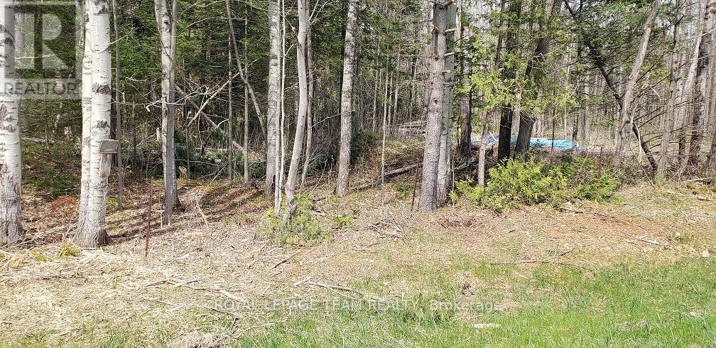 












000 BURNSTOWN ROAD W

,
McNab/Braeside,







Ontario
K0A3L0

