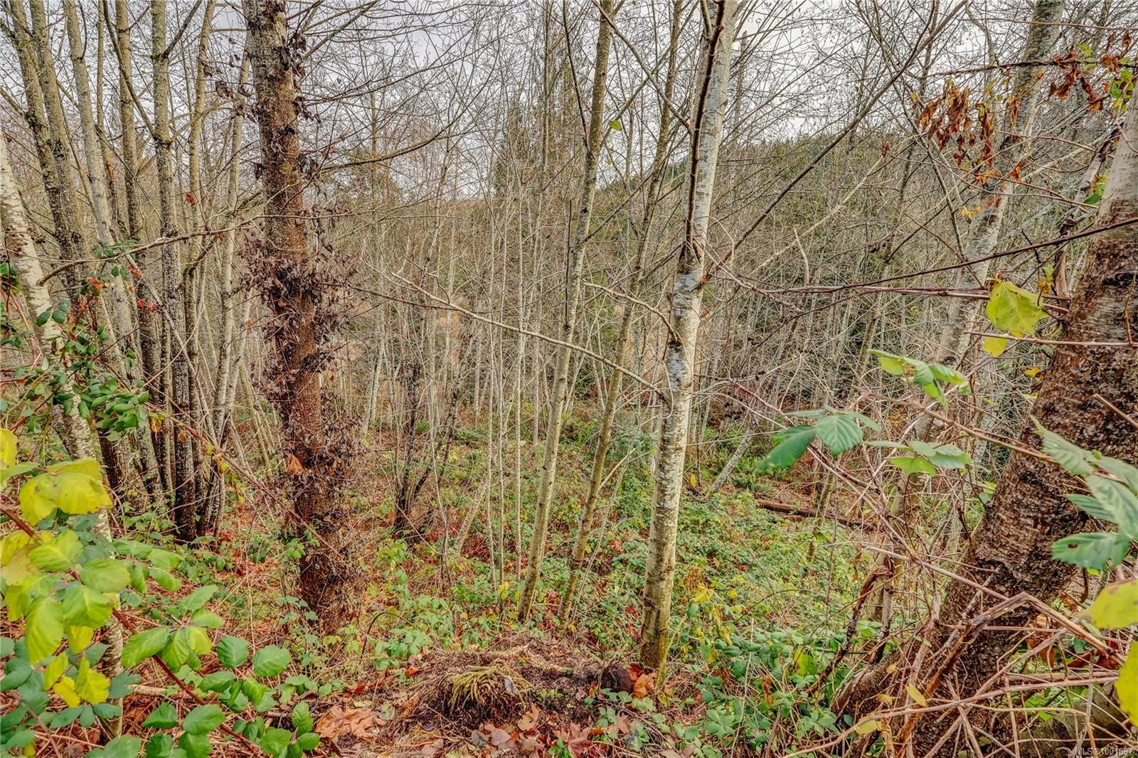 









49


Ranchview

Dr,
Nanaimo,







BC
V9X 1X9

