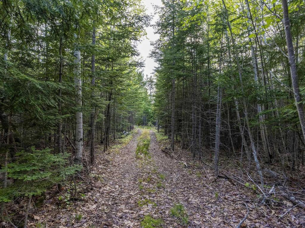 












519 Adams Road

,
New Albany,




NS
B0S 1P0

