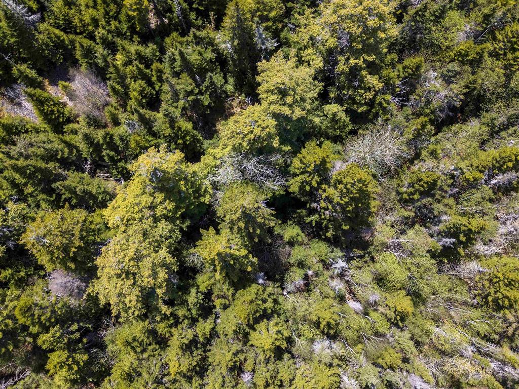 












2-B 91 Old Halifax Road

,
Glen Haven,







NS
B3Z 2W8

