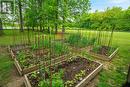 Garden plots