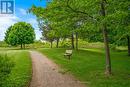 Park walkway