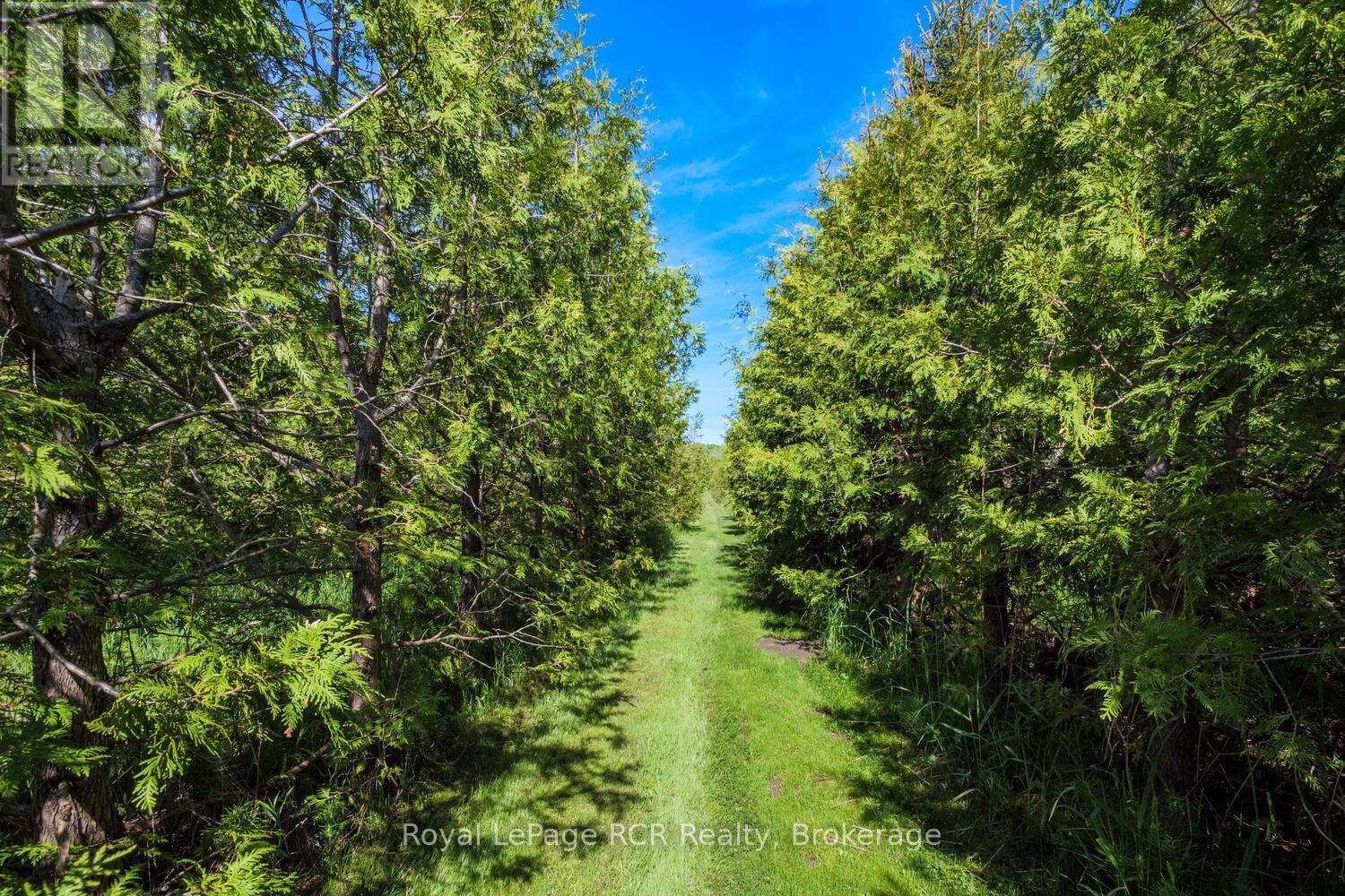 












280 SOMERS STREET

,
Georgian Bluffs,




Ontario
N4K6V5

