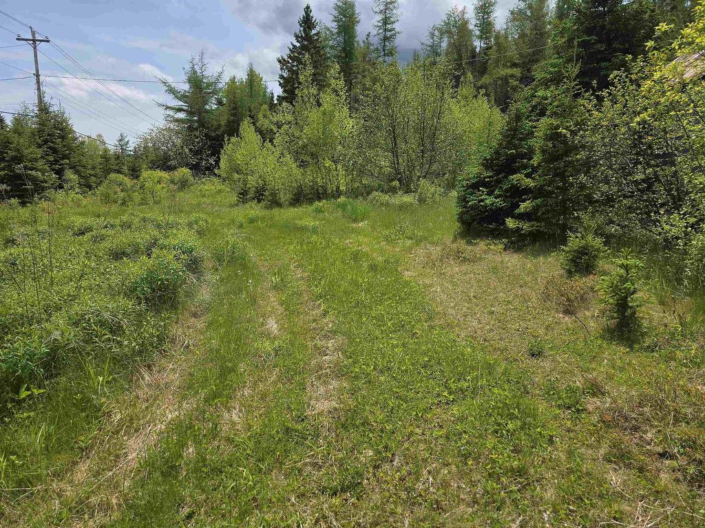 












17987 Highway 316

,
Country Harbour,







NS
B0H 0B1


