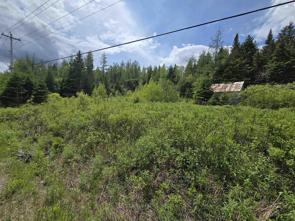 












17987 Highway 316

,
Country Harbour,







NS
B0H 0B1

