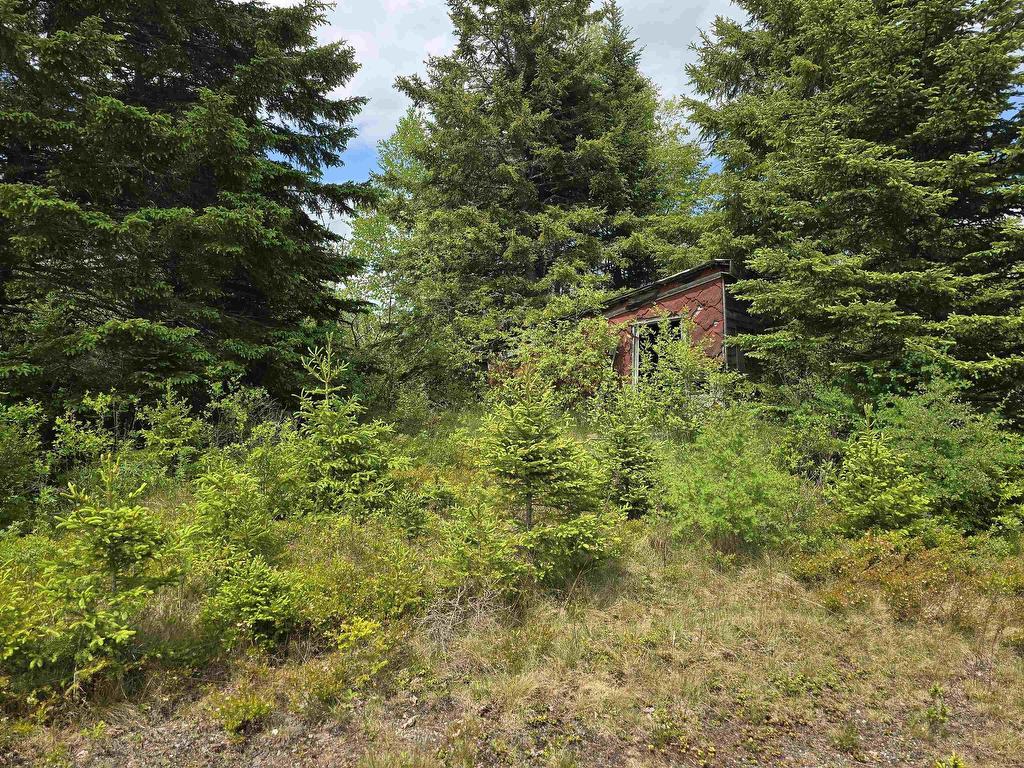 












17987 Highway 316

,
Country Harbour,







NS
B0H 0B1

