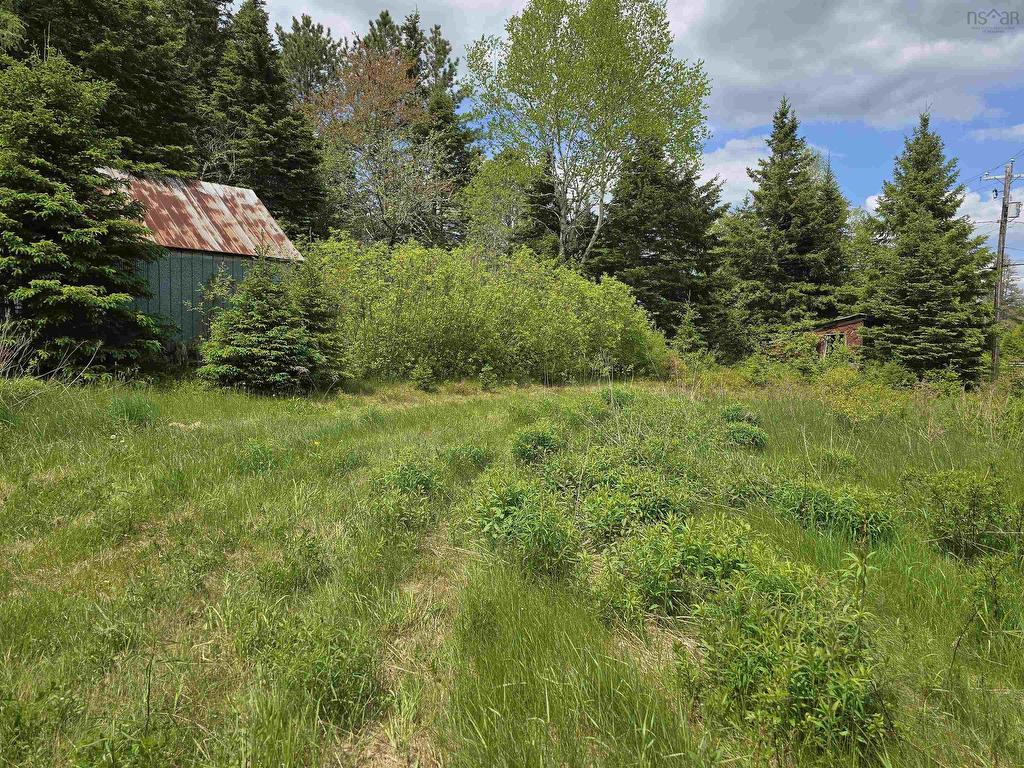 












17987 Highway 316

,
Country Harbour,







NS
B0H 0B1

