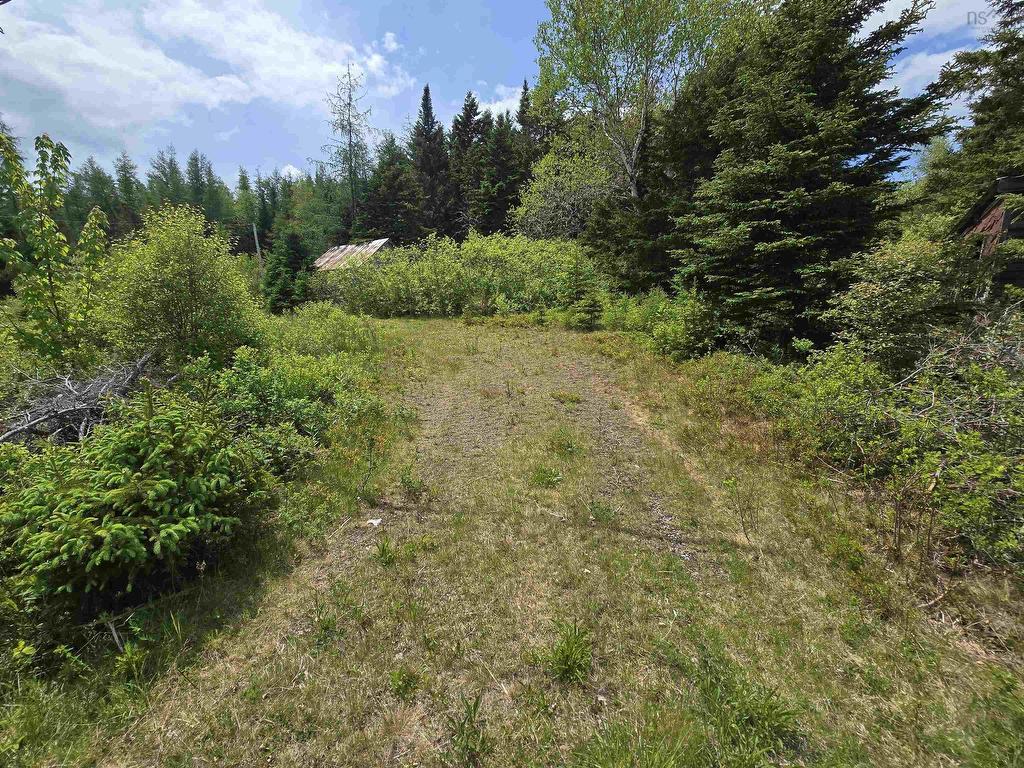 












17987 Highway 316

,
Country Harbour,







NS
B0H 0B1

