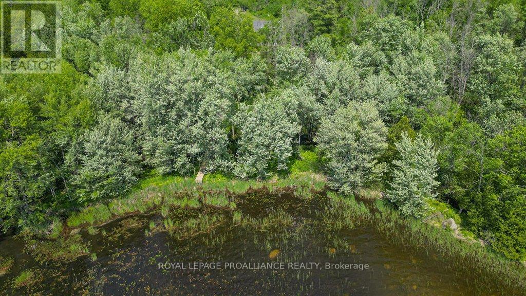 












5 QUAIL RIDGE LANE

,
Centre Hastings,




Ontario
K0K2K0

