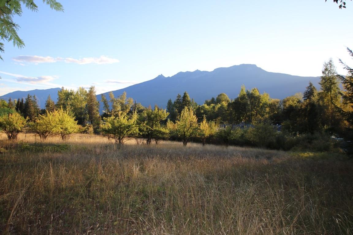 









Lot 4


Alexander

Road,
Nakusp,







BC
V0G 1R1

