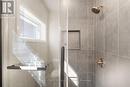 Primary ensuite shower