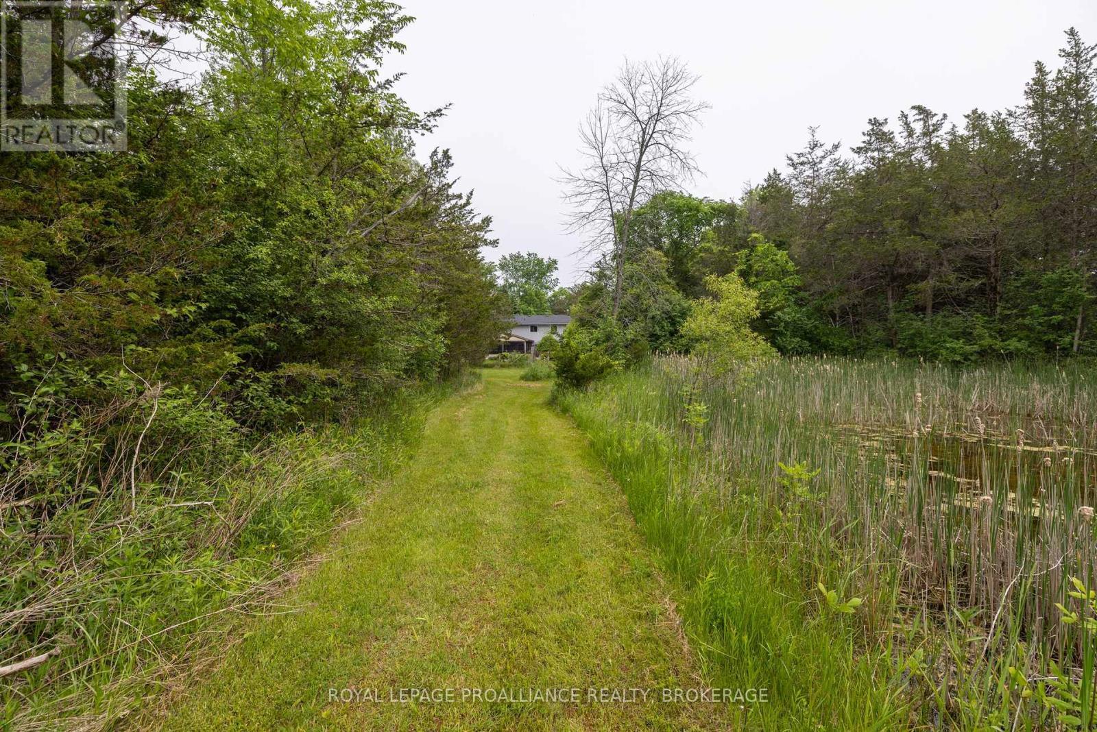 












1223 COUNTY ROAD 9

,
Greater Napanee (Greater Napanee),




Ontario
K7R3K8

