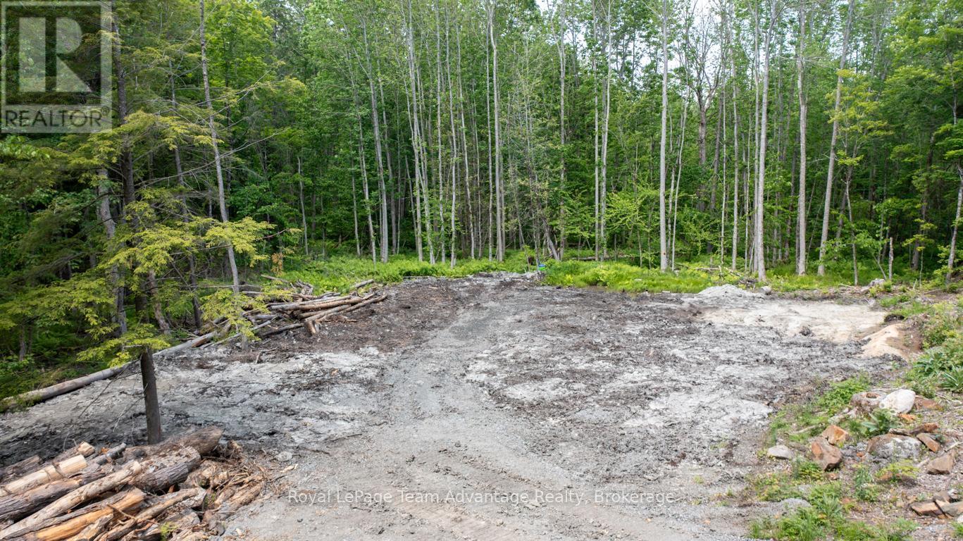 












40 SUNNYSHORE PARK DRIVE

,
McKellar,







Ontario
P2A0B5

