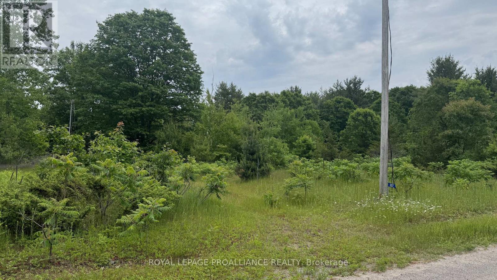 












207 MIDDLE RIDGE ROAD

,
Brighton,







Ontario
K0K1H0

