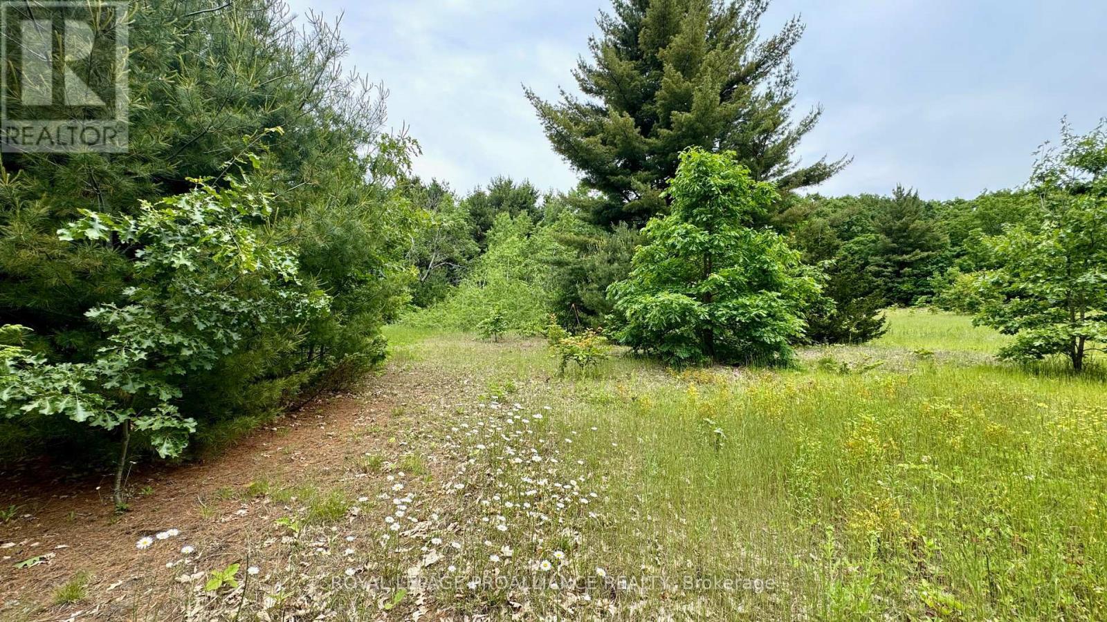 












207 MIDDLE RIDGE ROAD

,
Brighton,







Ontario
K0K1H0

