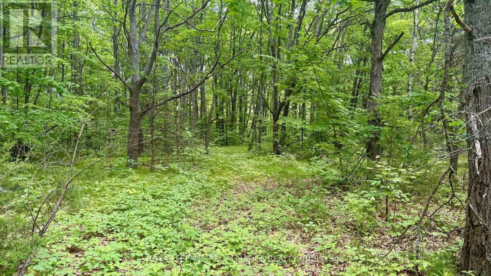 












207 MIDDLE RIDGE ROAD

,
Brighton,







Ontario
K0K1H0

