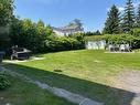 Backyard Backyard
