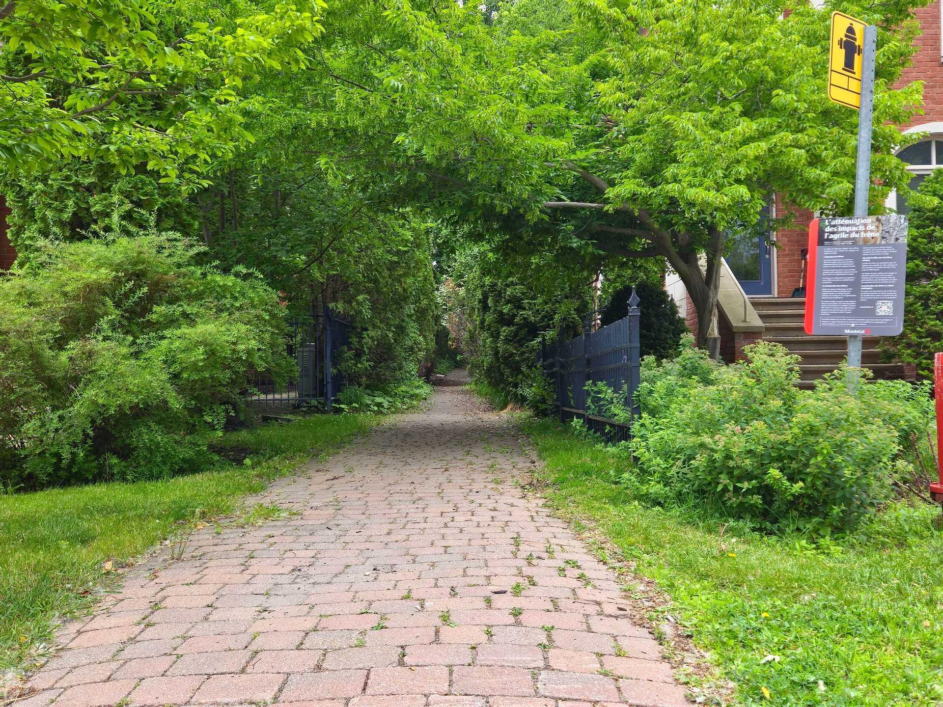 









55


Rue de l'Orée-du-Bois O.

,
Montréal (Verdun/Île-des-Soeurs),




QC
H3E2A3

