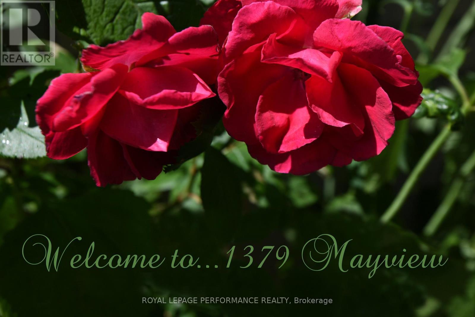 












1379 MAYVIEW AVENUE

,
Ottawa,




Ontario
K1Z8H6

