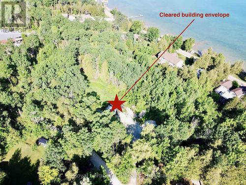 Potential building envelope cleared and level.