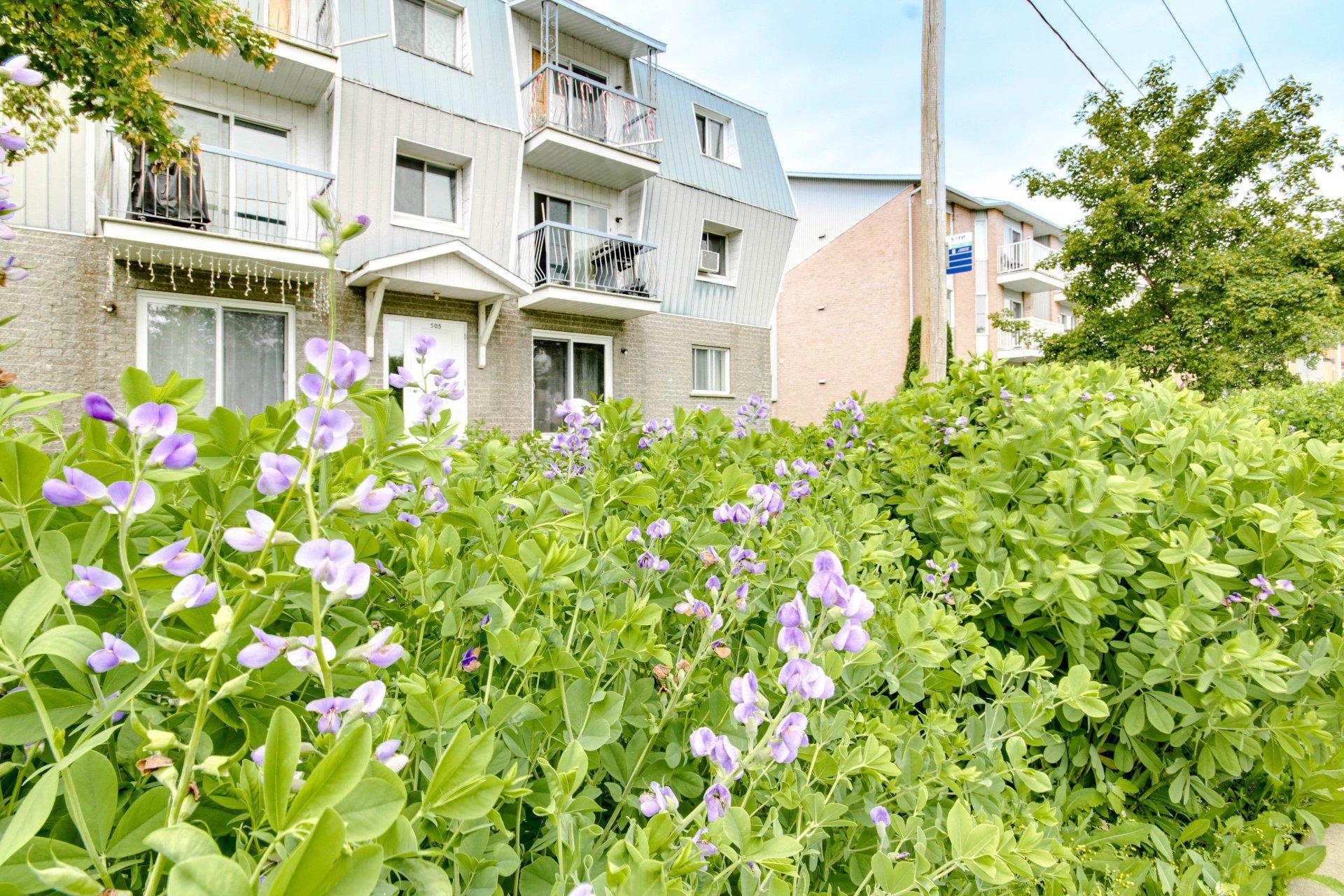 









505


Rue St-Maurice

,
Trois-Rivières,




QC
G8V1G7

