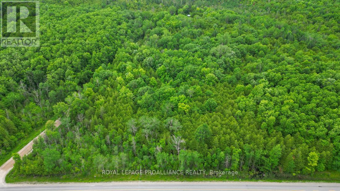 












459 MEEKS ROAD

,
Tweed (Hungerford (Twp)),







Ontario
K0K2L0

