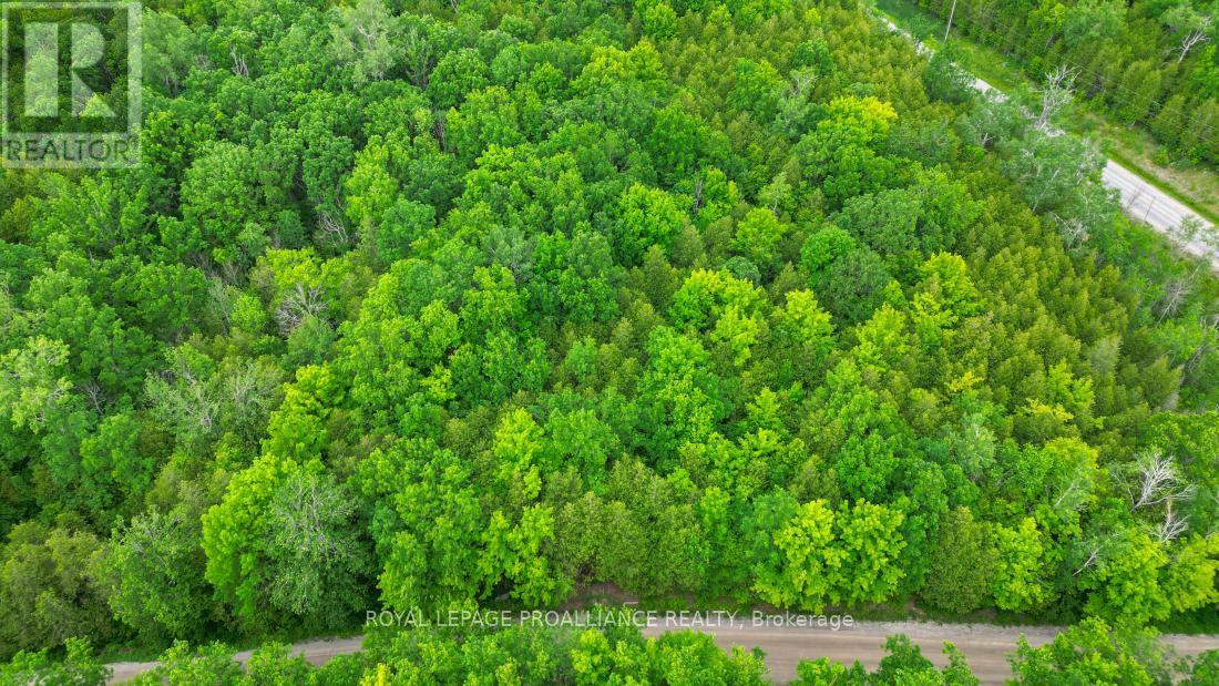 












459 MEEKS ROAD

,
Tweed (Hungerford (Twp)),







Ontario
K0K2L0

