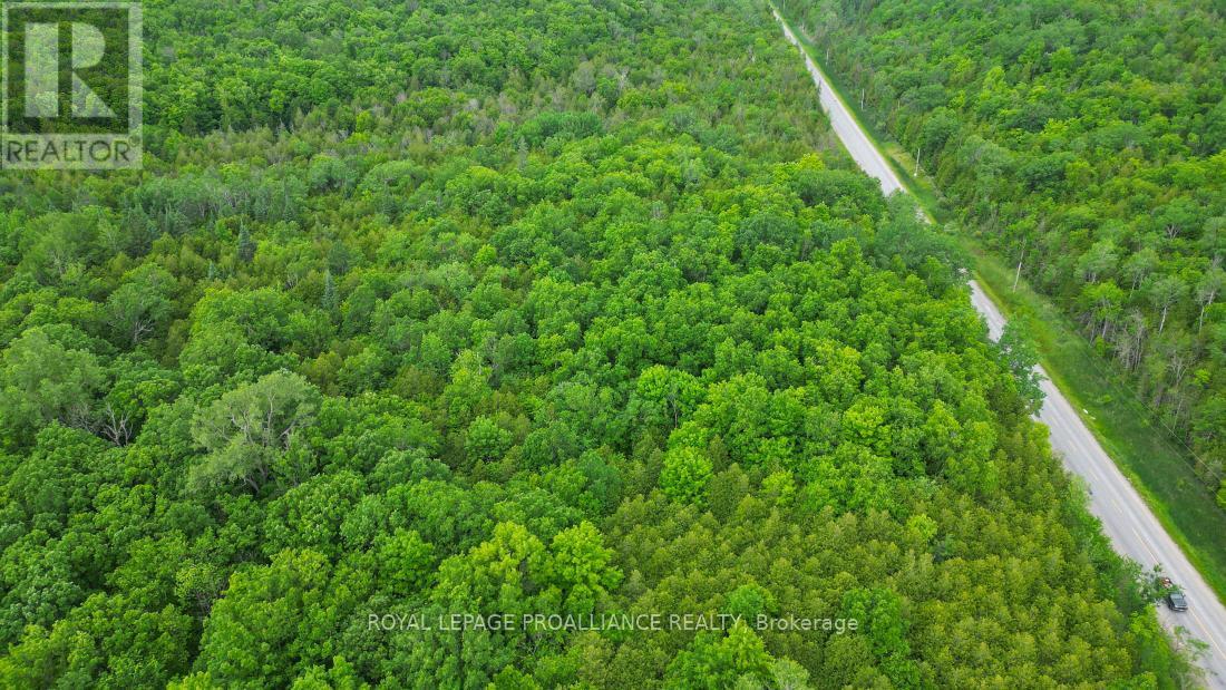 












459 MEEKS ROAD

,
Tweed (Hungerford (Twp)),







Ontario
K0K2L0


