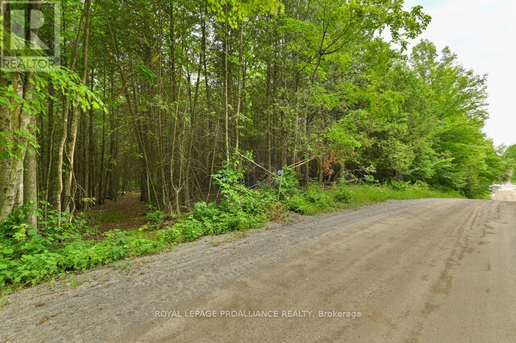 












459 MEEKS ROAD

,
Tweed (Hungerford (Twp)),







Ontario
K0K2L0

