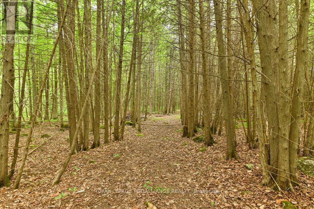 












459 MEEKS ROAD

,
Tweed (Hungerford (Twp)),







Ontario
K0K2L0

