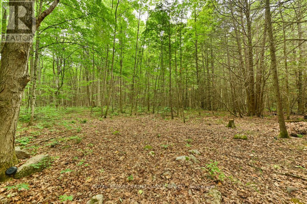 












459 MEEKS ROAD

,
Tweed (Hungerford (Twp)),







Ontario
K0K2L0

