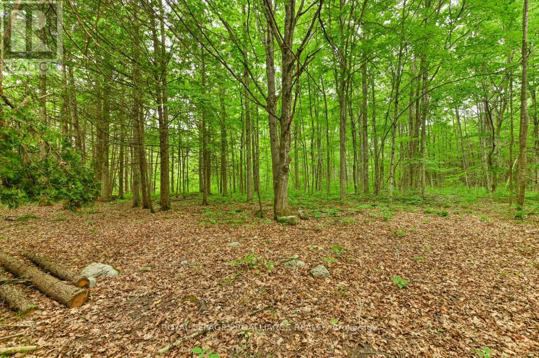 












459 MEEKS ROAD

,
Tweed (Hungerford (Twp)),







Ontario
K0K2L0

