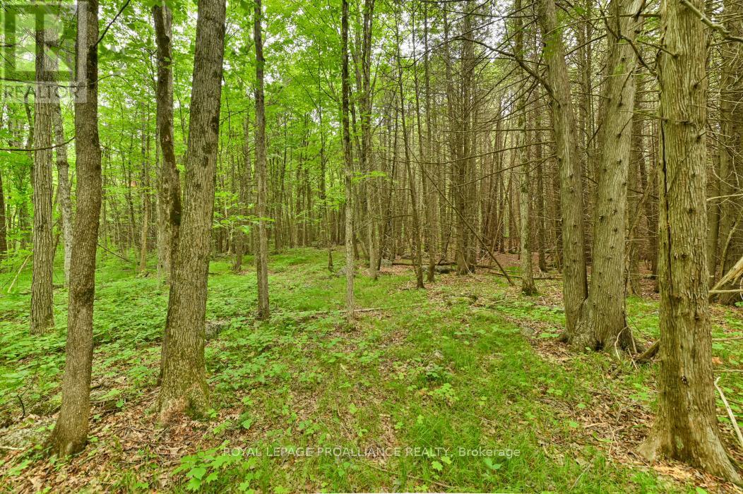 












459 MEEKS ROAD

,
Tweed (Hungerford (Twp)),







Ontario
K0K2L0

