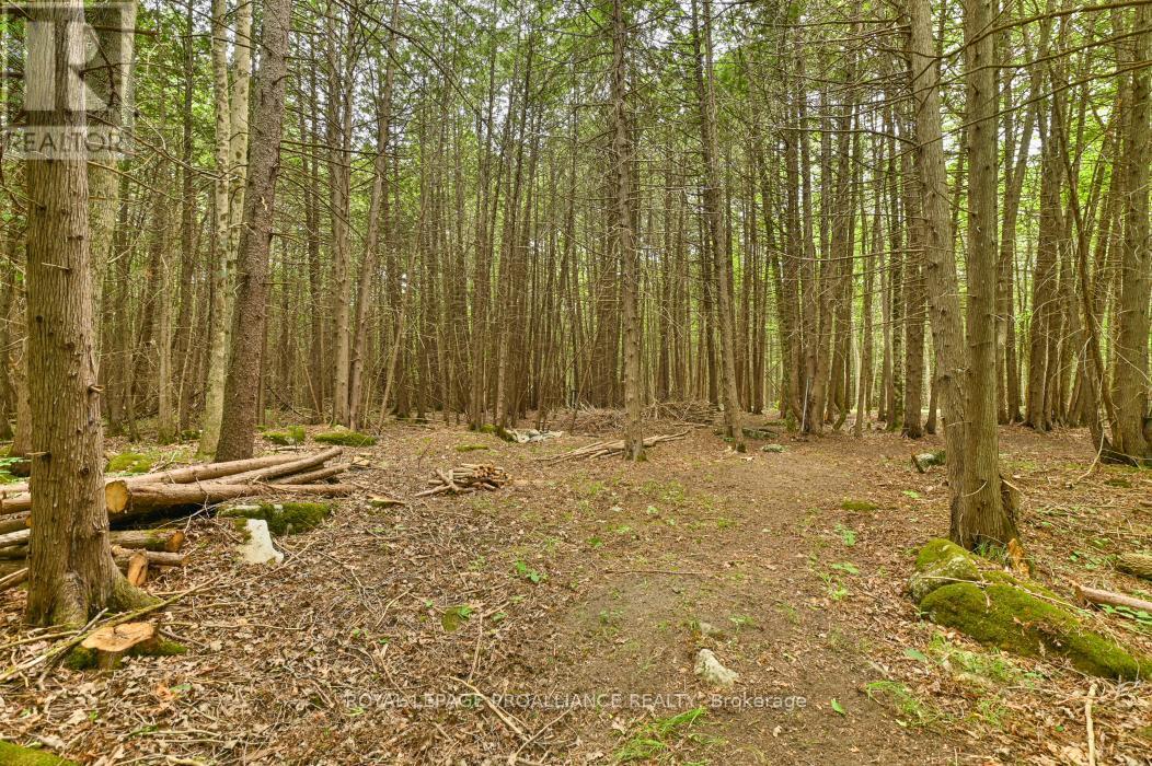 












459 MEEKS ROAD

,
Tweed (Hungerford (Twp)),







Ontario
K0K2L0

