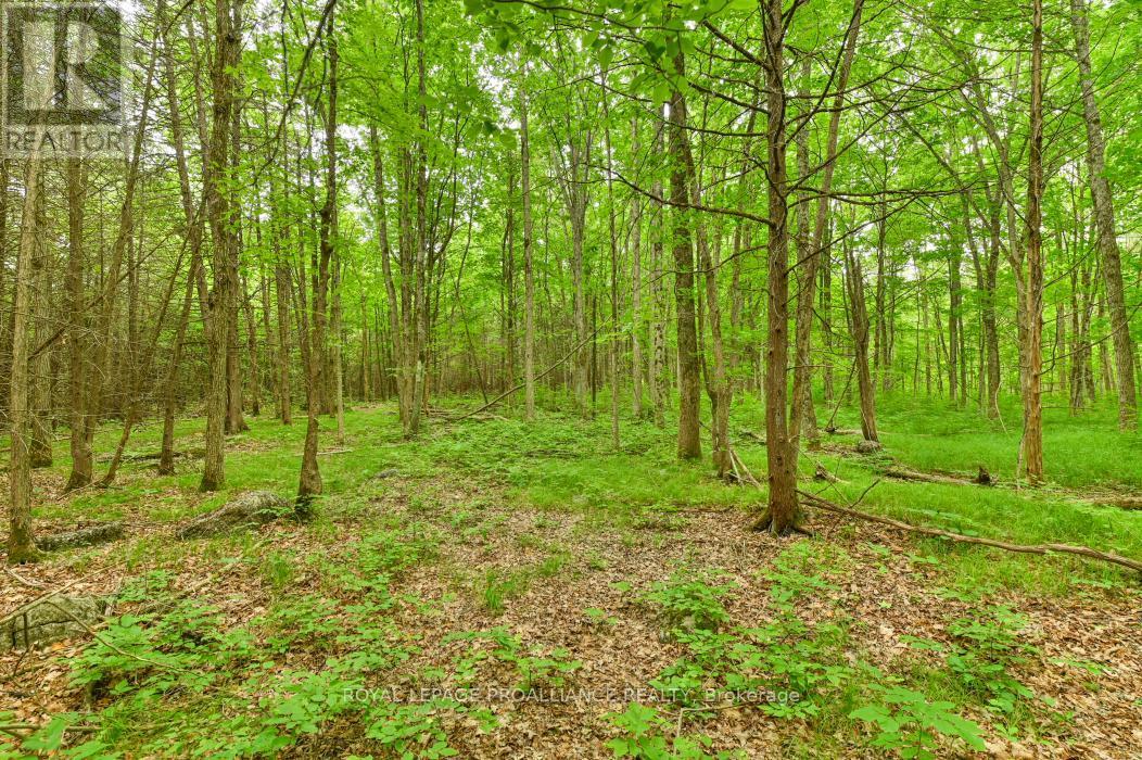 












459 MEEKS ROAD

,
Tweed (Hungerford (Twp)),







Ontario
K0K2L0

