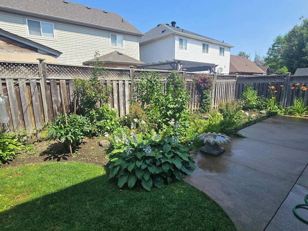 









19


Red Plant

Crescent,
Brampton,




ON
L7A 1V8

