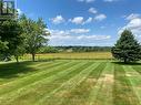 Backyard Backyard