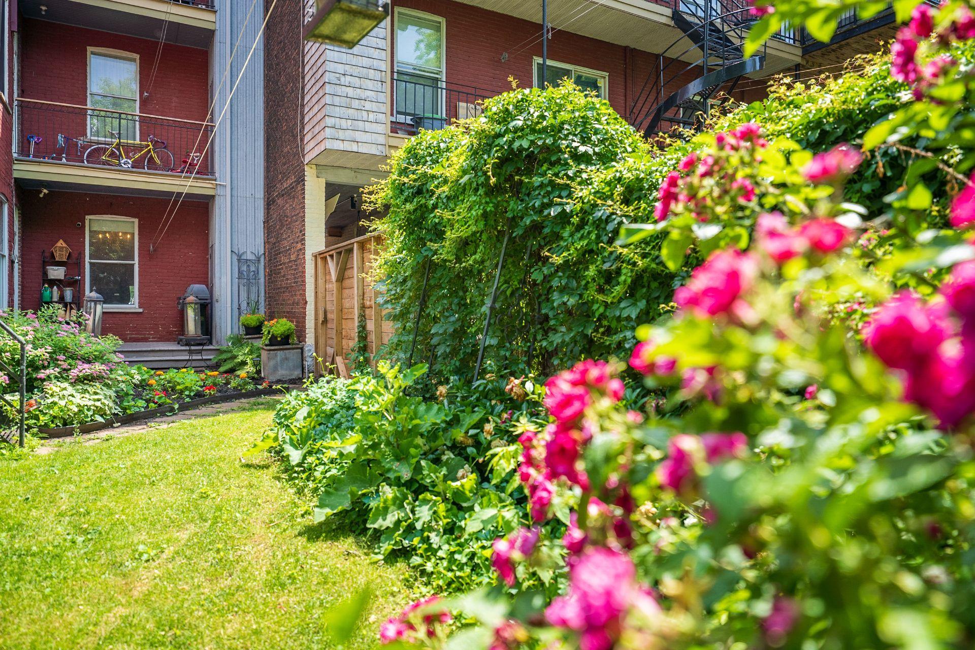 









1809


Rue Grand Trunk

,
Montréal (Le Sud-Ouest),




QC
H3K1M2

