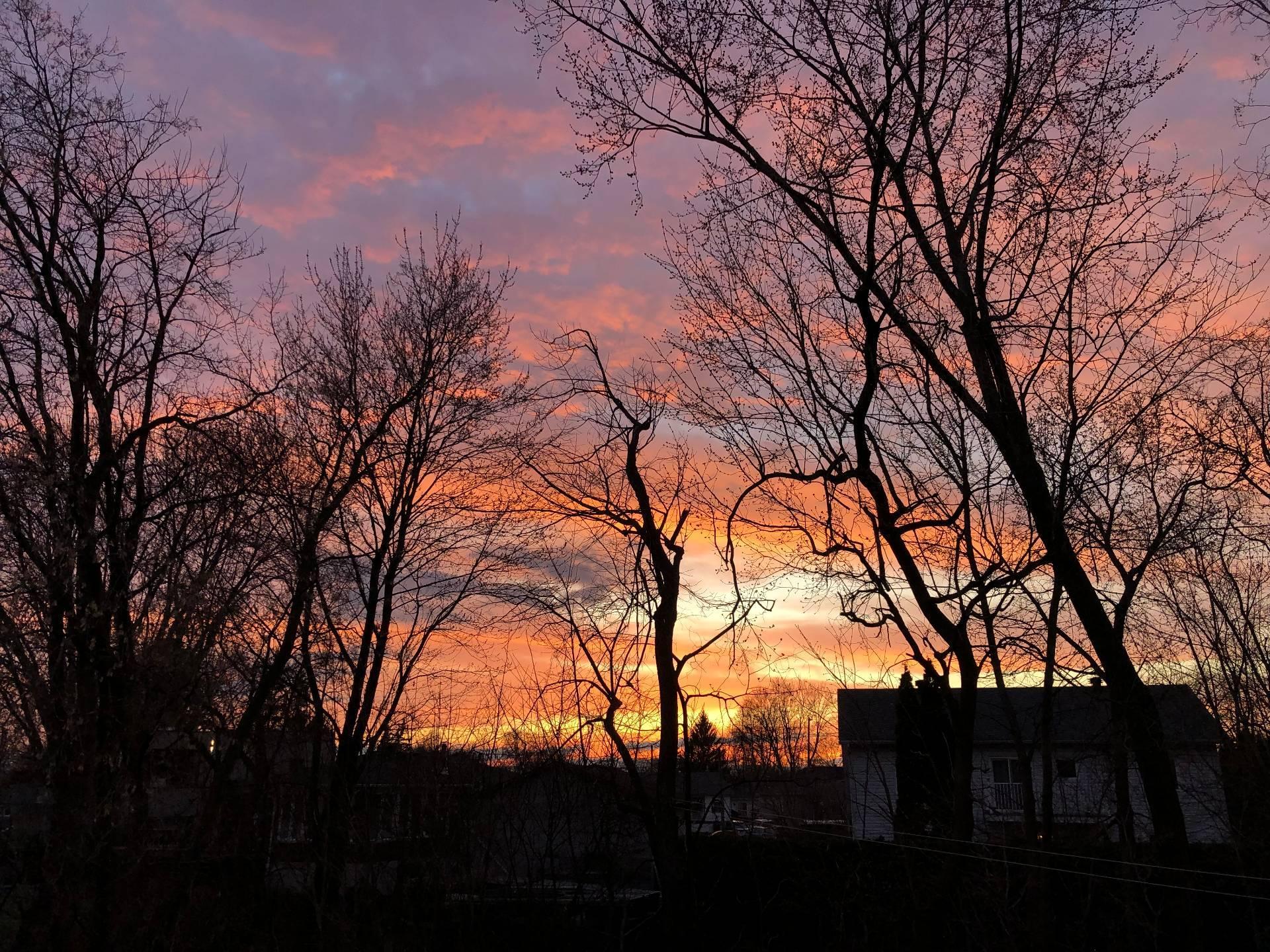 









2712


Rue Luc

,
Terrebonne (Lachenaie),




QC
J6V1A9

