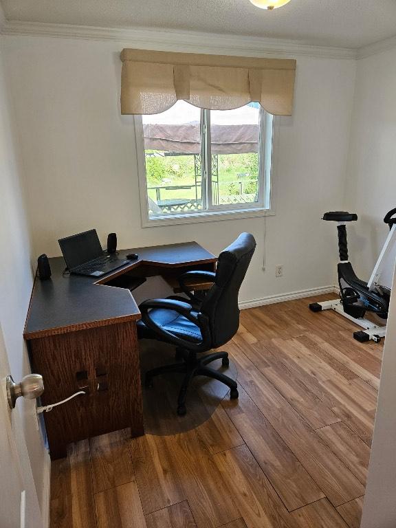 









589


Fawn

Road,
Clearwater,




BC
V0E 1N1

