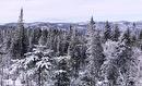Vue